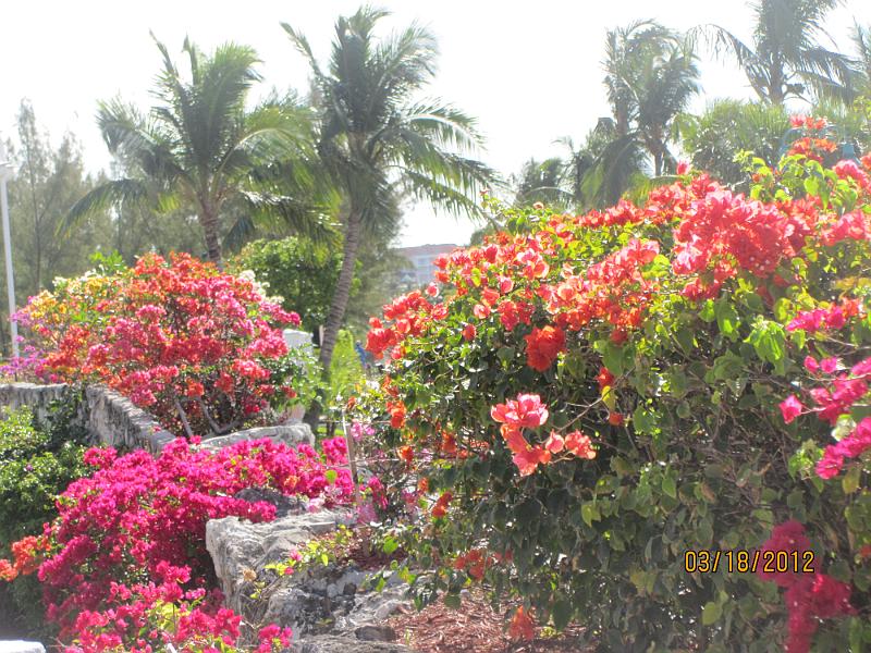 Picture 199